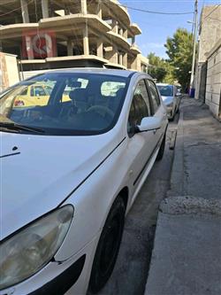 بیجۆ 307
